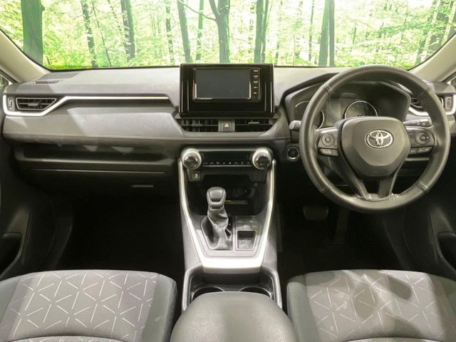 RAV42.0 X