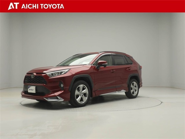 RAV42.0 X