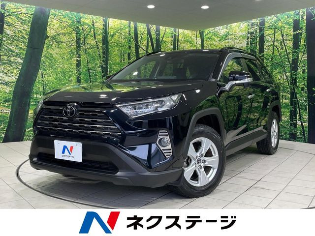 RAV42.0 X