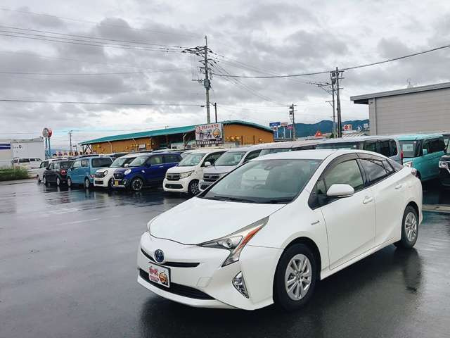 �y39.8���X�J�[�Y�̎��q���������������A���ɂ��肪�Ƃ��������܂��B���������q�s�Ö�368-1