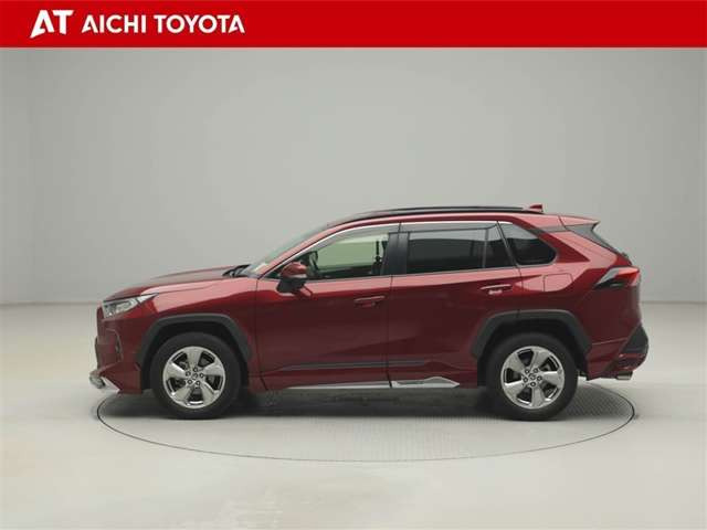 RAV42.0 X