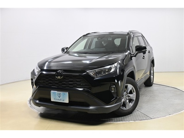 RAV42.0 X