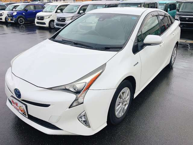 �y39.8���X�J�[�Y�̎��q���������������A���ɂ��肪�Ƃ��������܂��B���������q�s�Ö�368-1