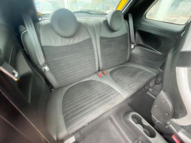 ���㕔���Ȃ��C�ɂȂ�悤�ȃL�Y�E�����ւ��蓙�A�傫�ȃ_���[�W�͂Ȃ��A�ǍD�ȏ�Ԃł��B