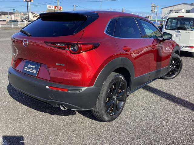 CX-30