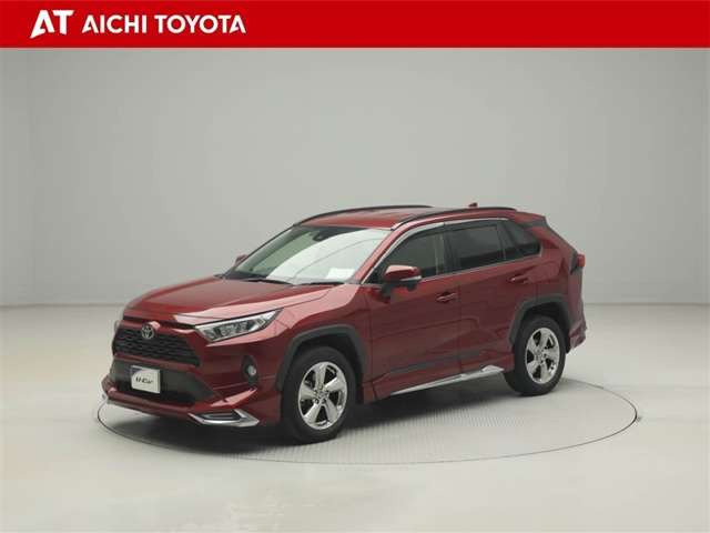 RAV42.0 X