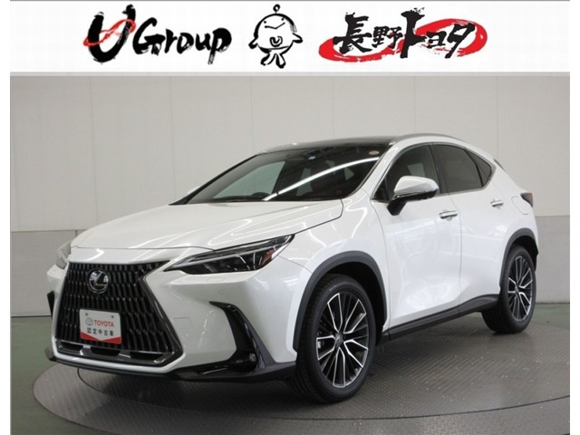 NX250 バージョンL