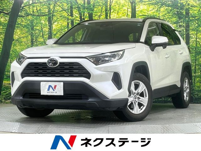 RAV42.0 X