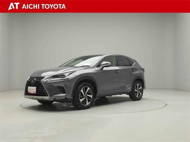 NX300h Iパッケージ 4WD