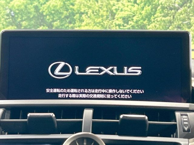 NX300h バージョンL