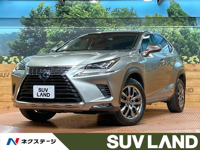 NX300h バージョンL