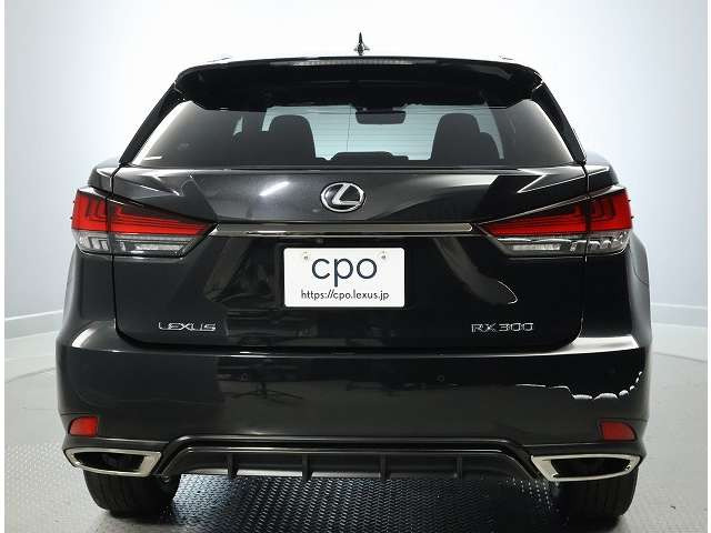 RX300 Fスポーツ 4WD