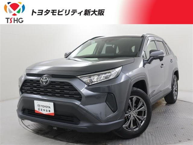 RAV42.0 X