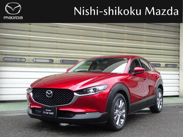 CX-301.8 XD Lパッケージ