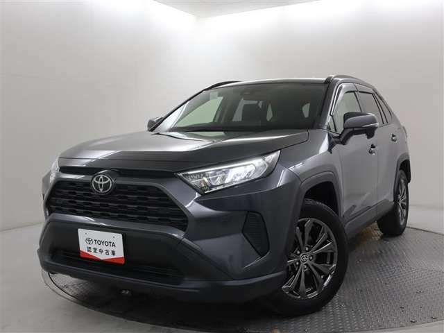 RAV42.0 X