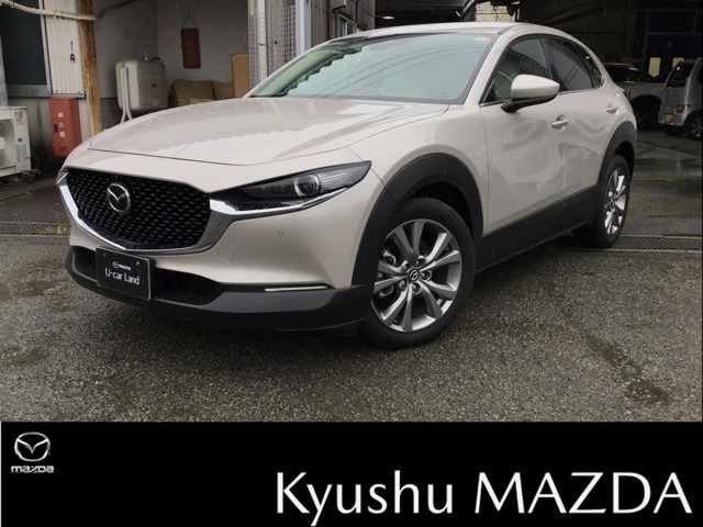 CX-301.8 XD Lパッケージ