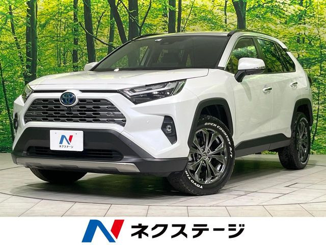 RAV42.5 ハイブリッド G E-Four 4WD