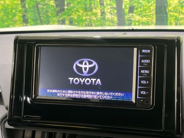 RAV42.0 X