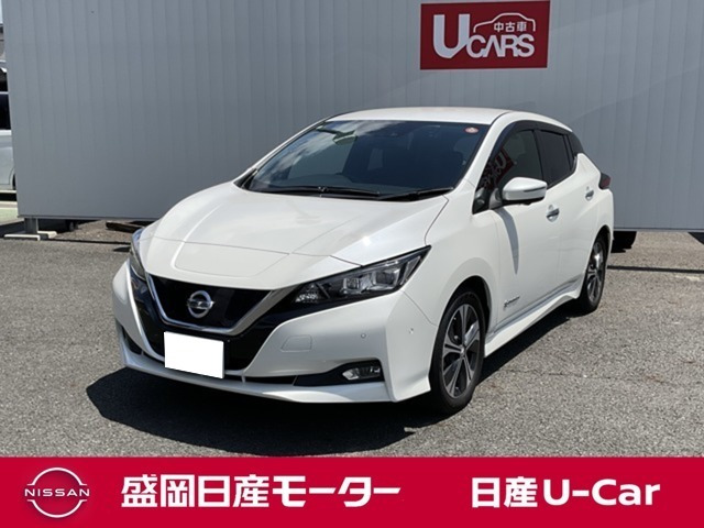 リーフG