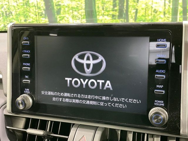 RAV42.0 X