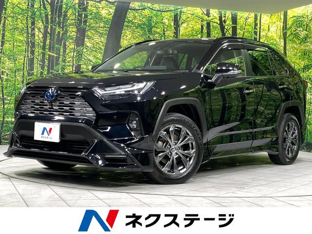 RAV42.5 ハイブリッド G E-Four 4WD