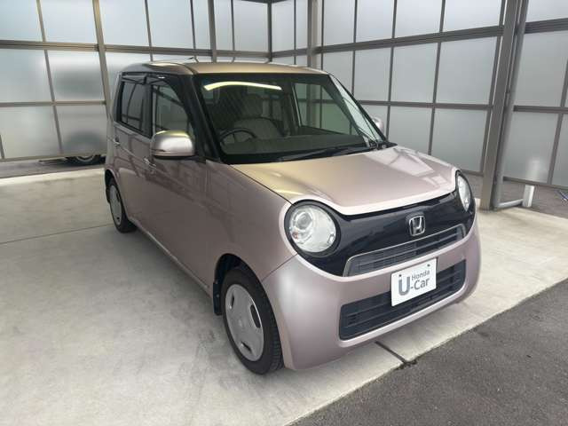 N-ONEG Lパッケージ