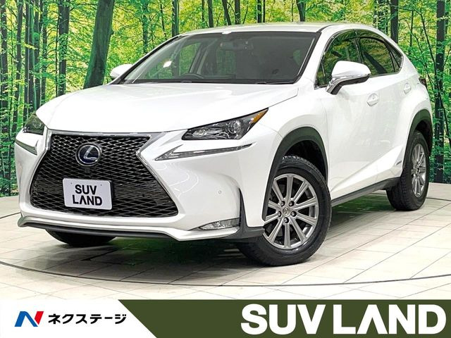NX�i���N�T�X�j300h ���Îԉ摜