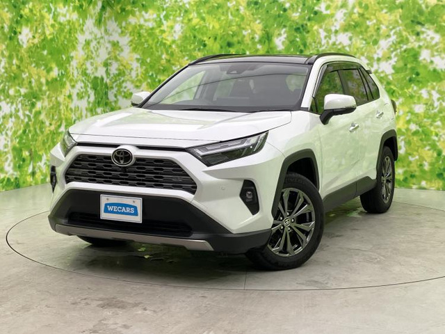 RAV42.5 ハイブリッド G E-Four 4WD