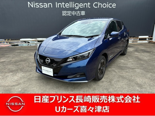 リーフe+ X