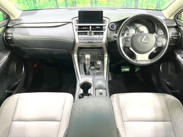 NX300h