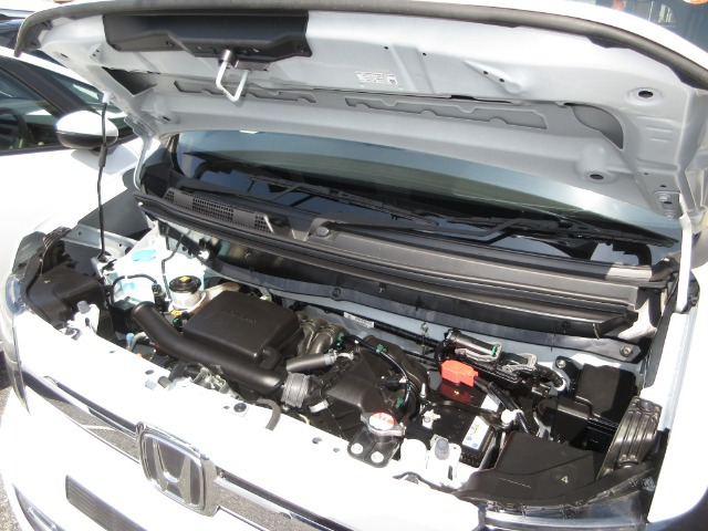 N-VANファン