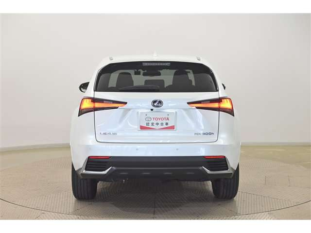 NX300h
