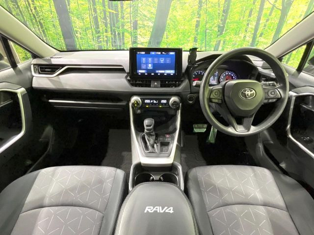 RAV42.0 X