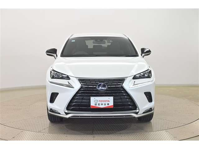 NX300h