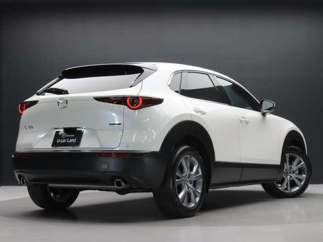 CX-302.0 20S Sパッケージ