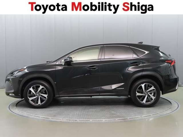 NX300h Iパッケージ
