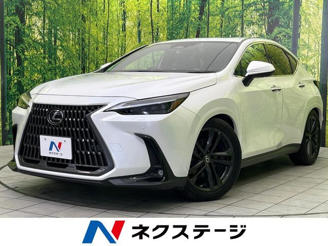 NX250 バージョンL