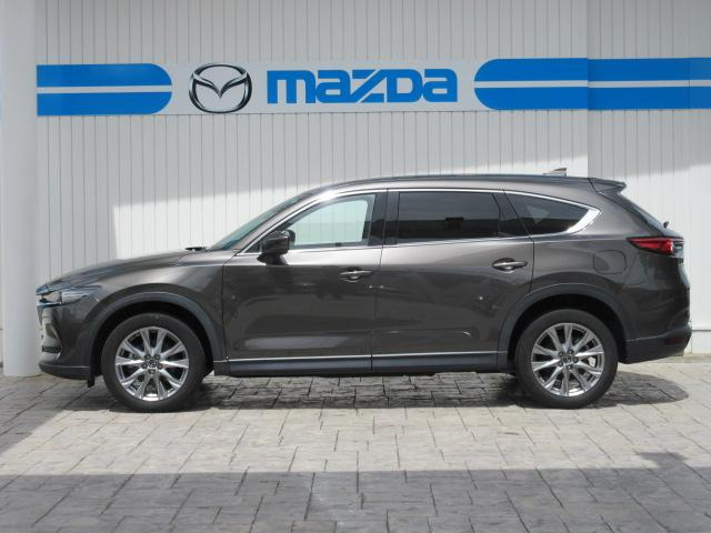 CX-8