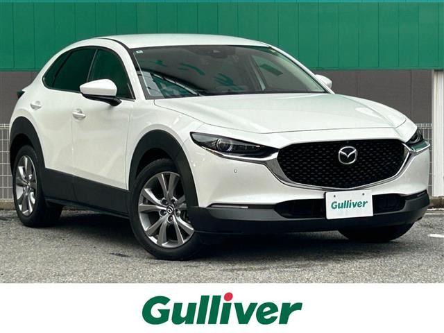 CX-301.8 XD プロアクティブ