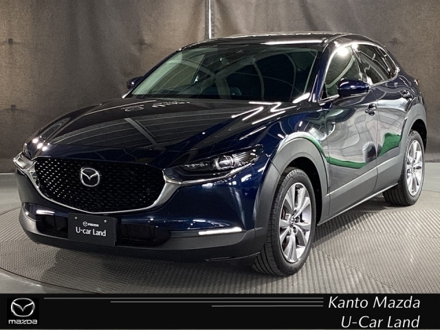 CX-302.0 20S プロアクティブ ツーリングセレクション