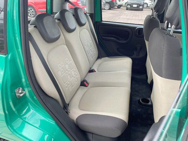���㕔���Ȃ��C�ɂȂ�悤�ȃL�Y�E�����ւ��蓙�A�傫�ȃ_���[�W�͂Ȃ��A�ǍD�ȏ�Ԃł��B