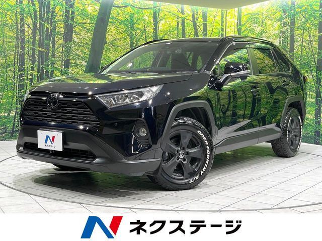 RAV42.0 X