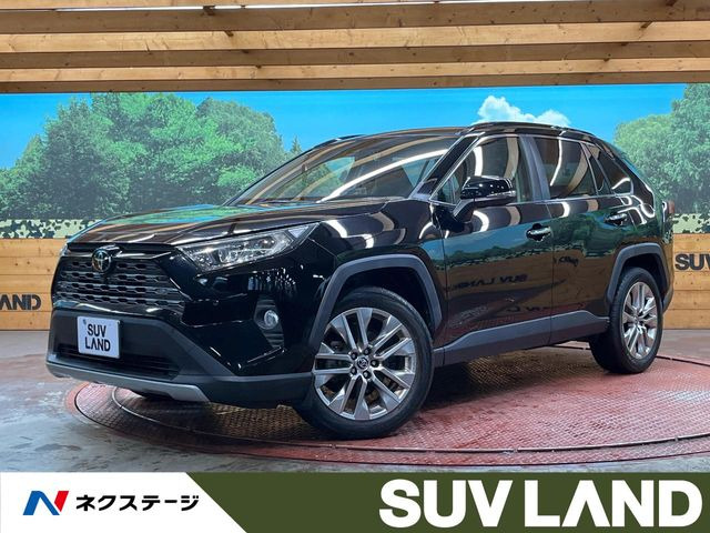 RAV42.0 G Zパッケージ 4WD