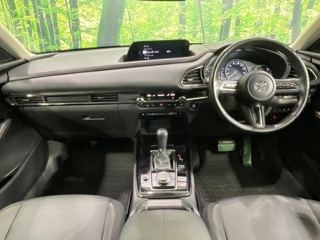 CX-302.0 20S ブラックトーンエディション