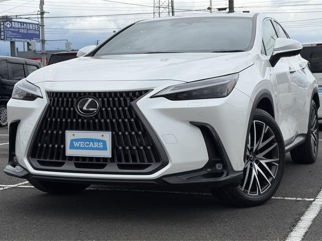 NX350h バージョンL