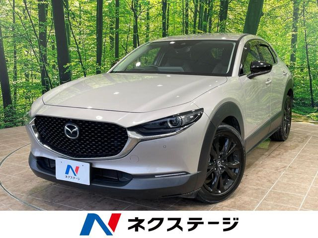 CX-302.0 20S ブラックトーンエディション
