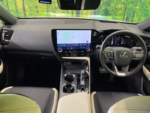 NX250 バージョンL