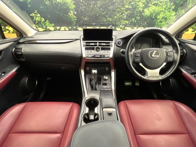 NX300h Iパッケージ