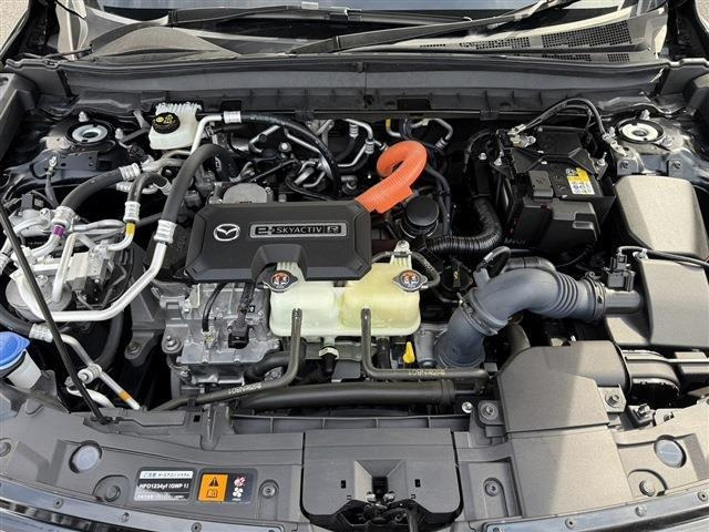 ���Ǝҗl�ւ̔̔��͂��f�肳���Ă��������܂��B �Ԍ������ԗ��̏ꍇ�́A�Ԍ����擾�������x�������z�ŕ\�����Ă���܂��B