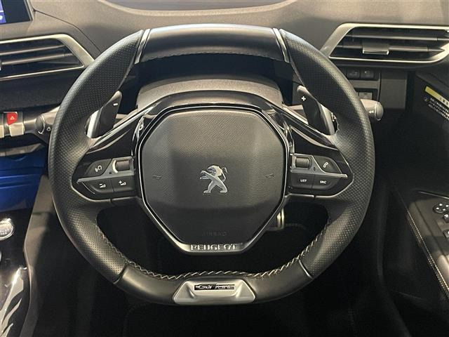 3008GTライン